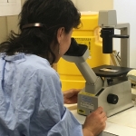 pelvic floor unit research